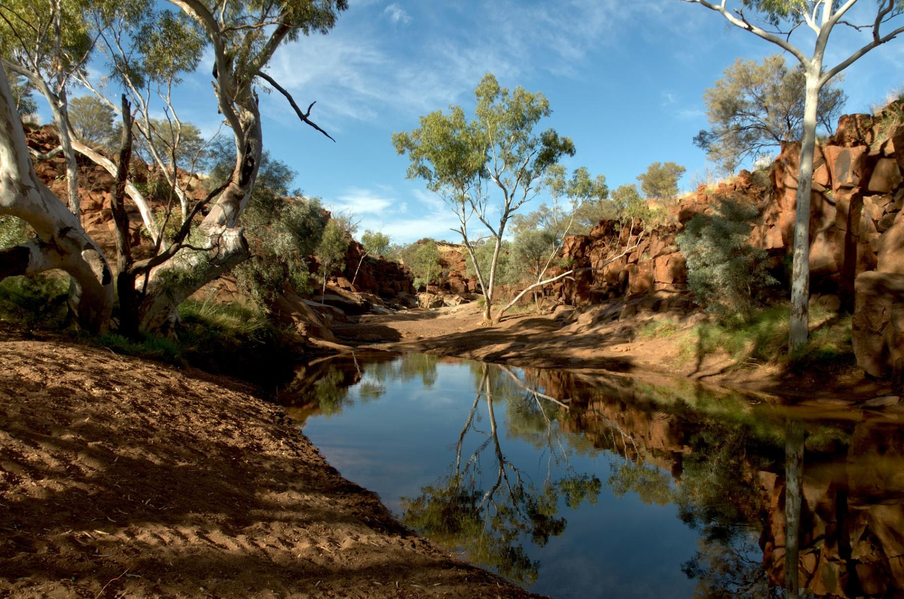 Australian waterhole